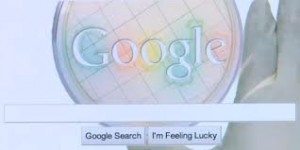 google-cell-grow-slam