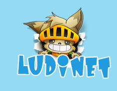 ludinet logo